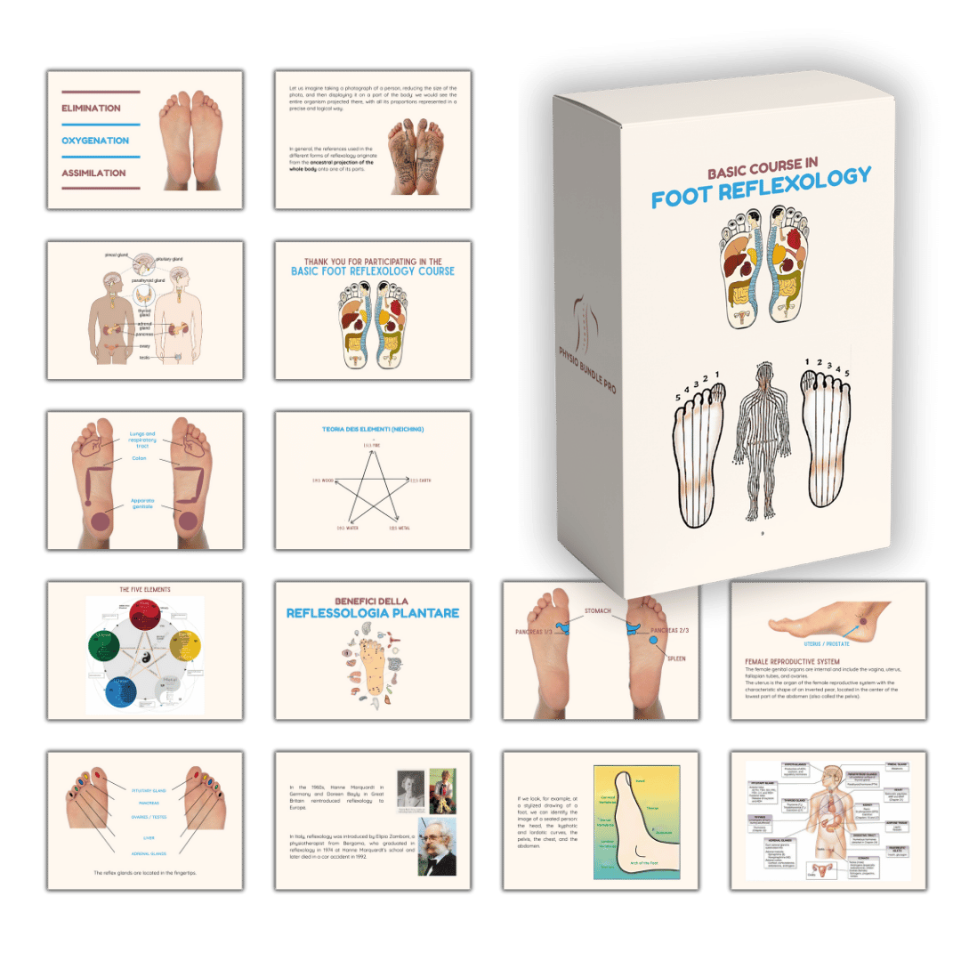 Basic Course in Foot Reflexology.png__PID:4d31aab3-9269-41ce-979a-31720e8a4d16