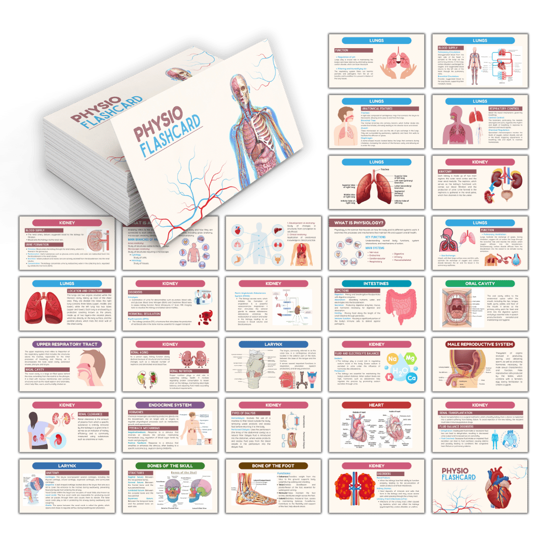 Flashcards.png__PID:dfaf60de-ef8b-4859-8d32-01e0805a1c6f