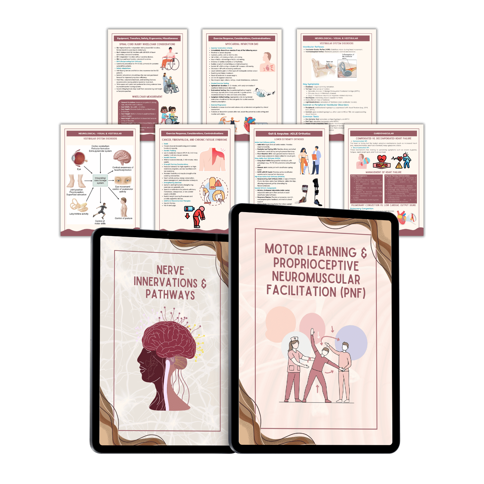 Study Notes.png__PID:a5b80738-b689-420a-a9c4-52cd50dbcf8e