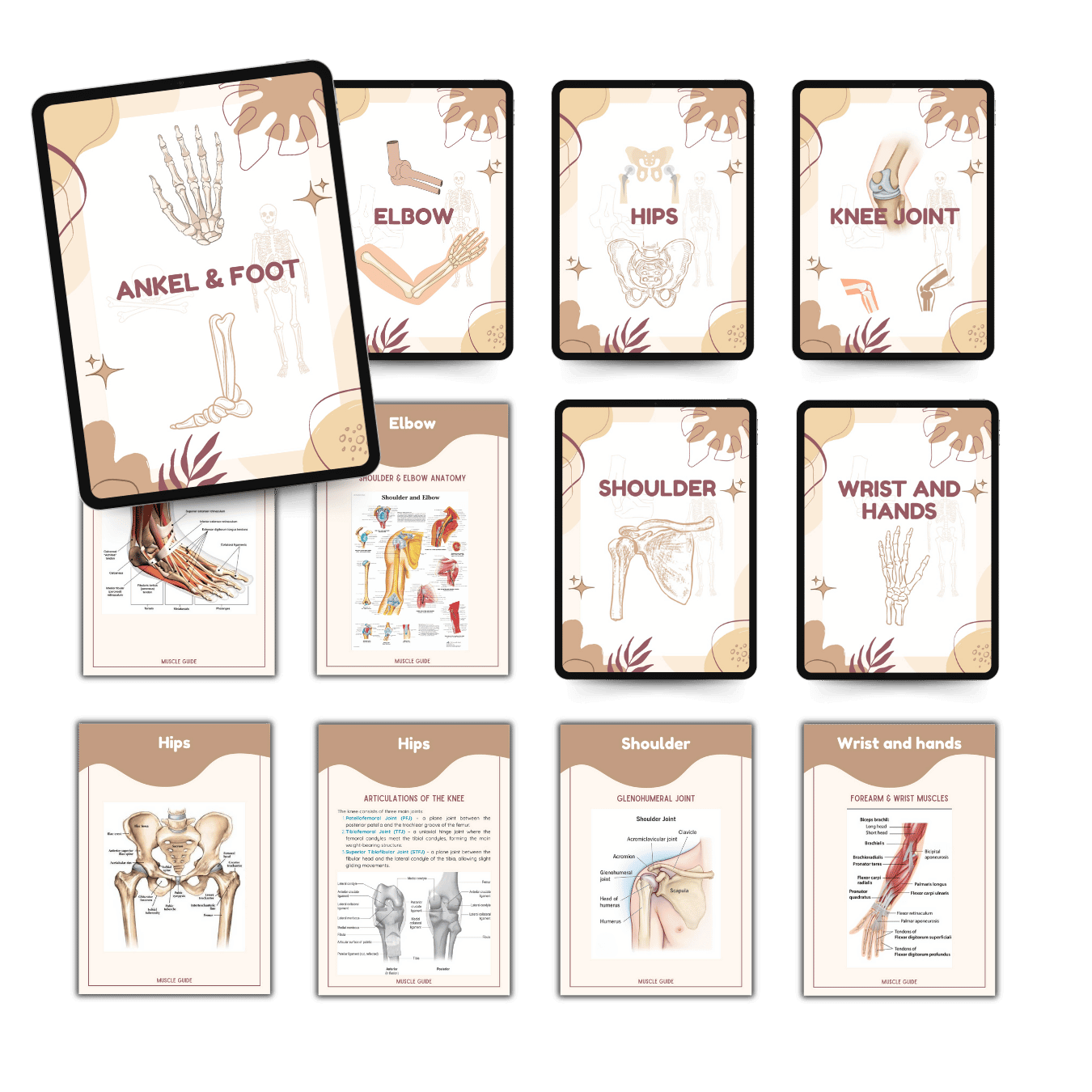 Muscle Guides.png__PID:46c3423c-34a8-4712-8f56-594c12038860